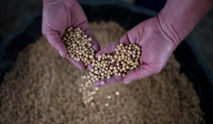 Hari Ini Perajik Tahu di Bekasi Mogok Produksi Bentuk Protes Harga Kedelai Mahal