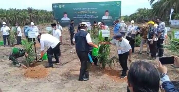 Petani Ingin Dapat Bantuan Rp 30 Juta Per Hektare? Â Gunakan PSR Solusi Terbaik
