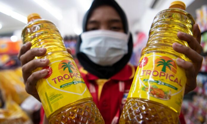 Bubar Aja Deh! Kondisi Langka Minyak Goreng, Kemendag Akui Jual 415 Juta Liter Minyak Goreng Murah ke Luar Negeri