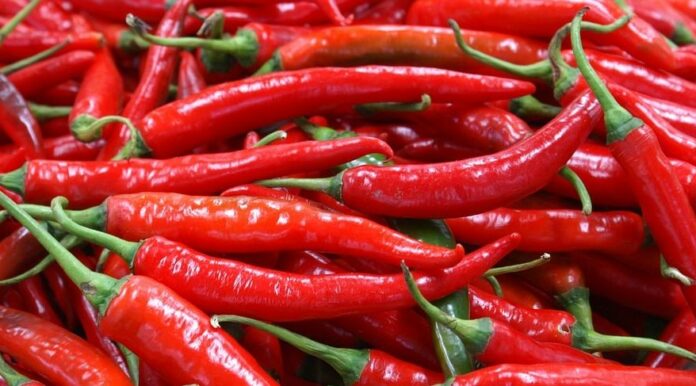 Harga Cabai di Aceh Tembus Rp 80.000 Per Kg Jelang Ramadhan, Jumlah Pembeli Menurun