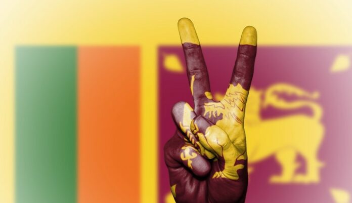 Sri Lanka Mengalami Gagal Bayar Utang dan Bangkrut, Seperti Apa Kebijakan Presidennya? (Sumber Gambar : Pixabay/David_Peterson)