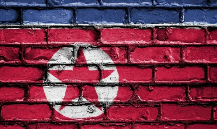Covid 19 di Korea Utara Semakin Mengganas, Gudang Jadi Tempat Karantina Wanita Hamil (sumber gambar : Pixabay-David_Peterson)