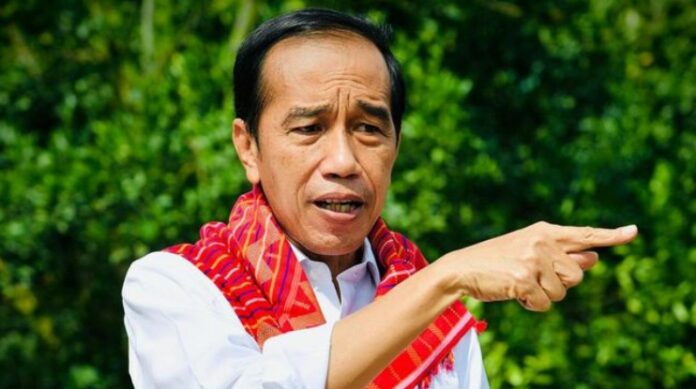 Jokowi Akan Upayakan Perdamaian Rusia dan Ukraina di KTT G7