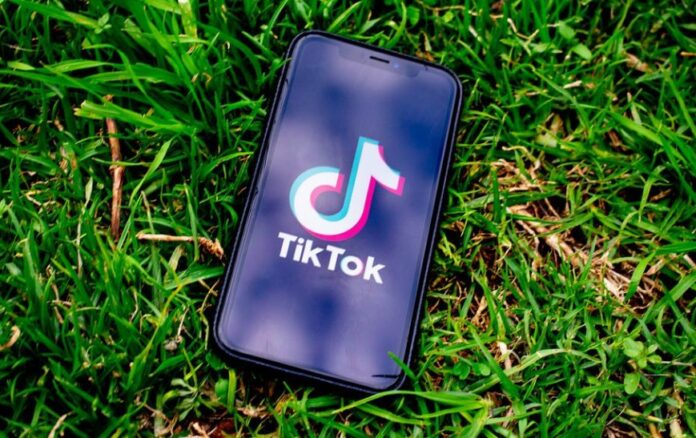 Agar Tak Kecanduan, TikTok Hadirkan Fitur Baru, Ini Faktanya