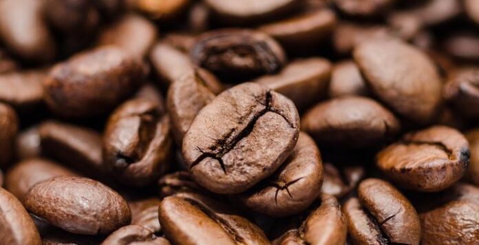 Tips Sukses Budidaya Tanaman Kopi, Cermati Agar Hasilkan Panenan Terbaik