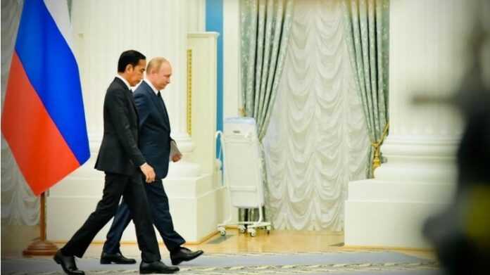 Presiden Jokowi Ingin Jaminan Keamanan Rusia di Sektor Jalur Ekspor Pangan Ukraina, Apa Tujuannya? (sumber foto : setkab.go.id)