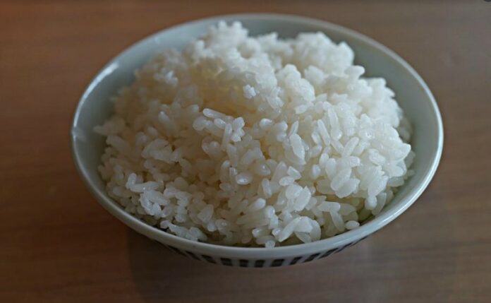 Perbandingan Nasi Putih Panas dan Dingin, Mana yang Lebih Sehat? Cek Faktanya Berikut Ini