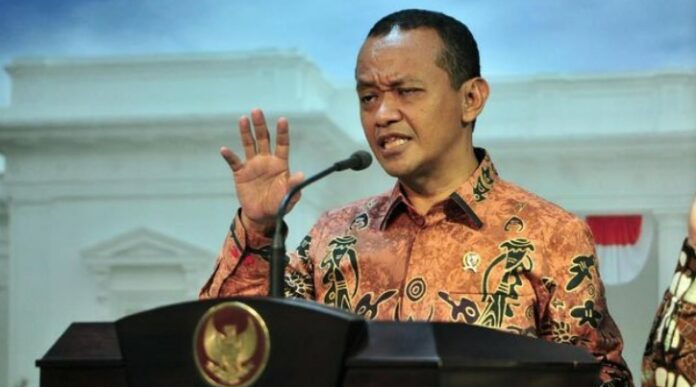 Sebanyak 80 Izin Perusahaan Tambang yang Dicabut Telah Dipulihkan Pemerintah, Apa Alasannya?