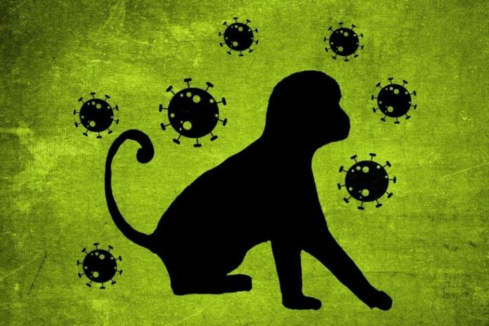 4 Deretan Komplikasi Cacar Monyet Perlu Diwaspadai Jangan Sampai Tertular