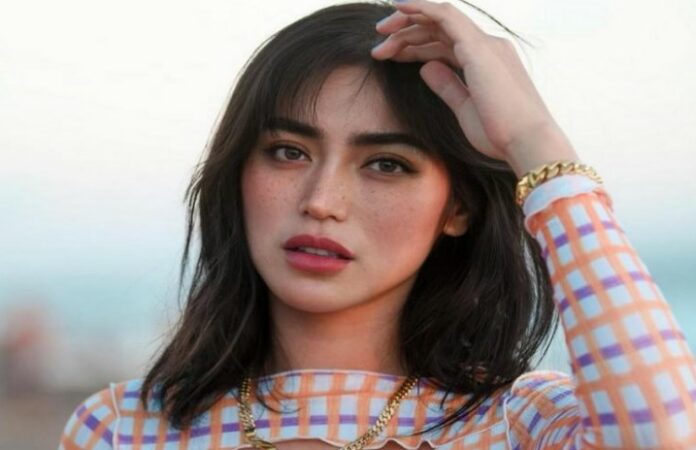 Jatuh Sakit, Jessica Iskandar TakHadir di Sidang Gugatan Steffanus Budianto