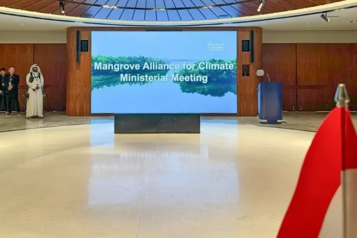 Indonesia Jadi Ketua Bersama Aliansi Mangrove Dunia-